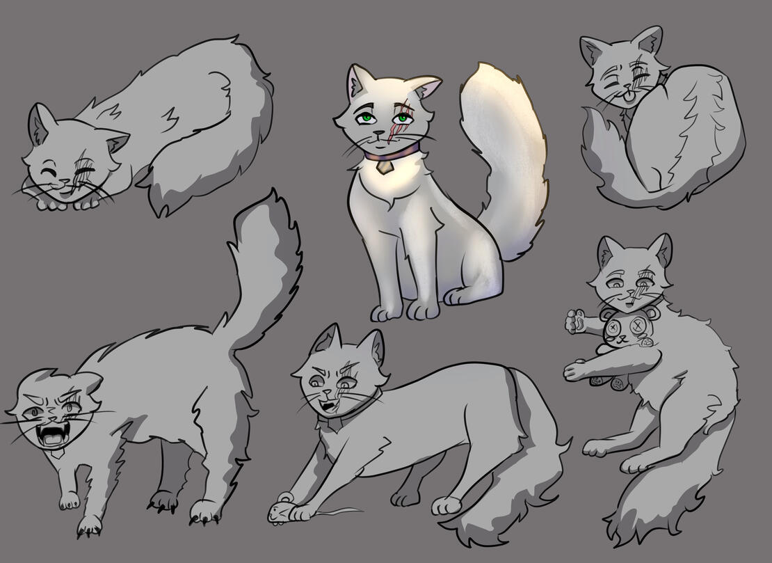 Turkish Angora cat: Her name is Duchess. She is a street cat who put away her claws to live a more peaceful domesticated life with her owner Anna.